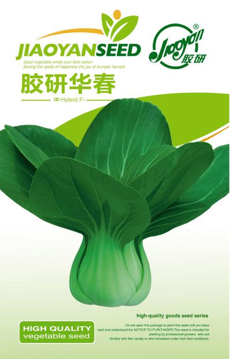 胶研华春——油菜